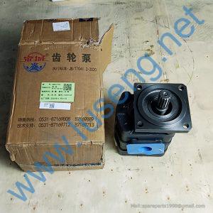 W-01-00134 gear pump changlin CBGJ2100