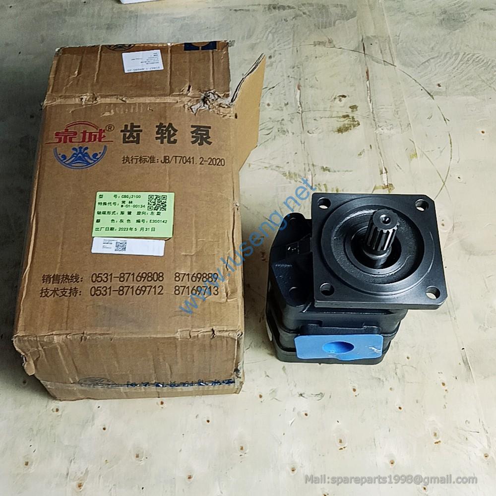W-01-00134 gear pump changlin CBGJ2100