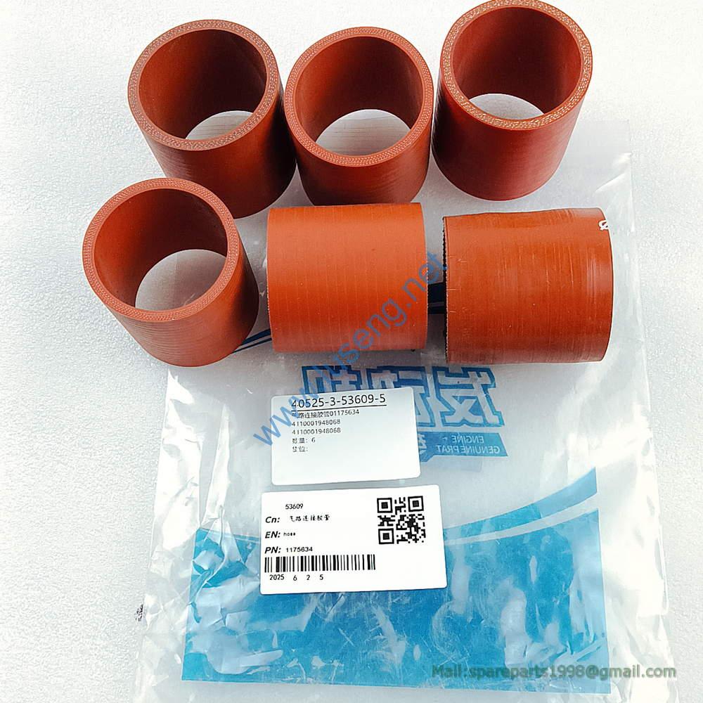 01175634 4110001948068 HOSE WEICHAI