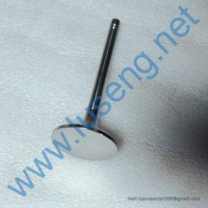 04AL603 INTAKE VALVE SC11