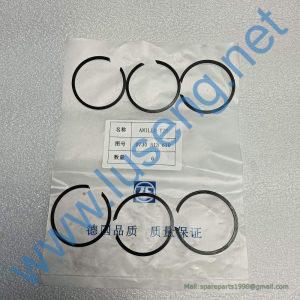 0730513610 SNAP RING SP100197 4110000076294