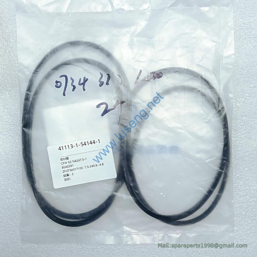 0734317100 SEAL RING ZF