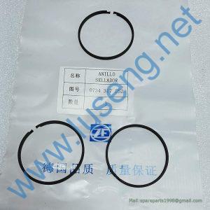0734317252 PISTON RING SP100220 4110000076256