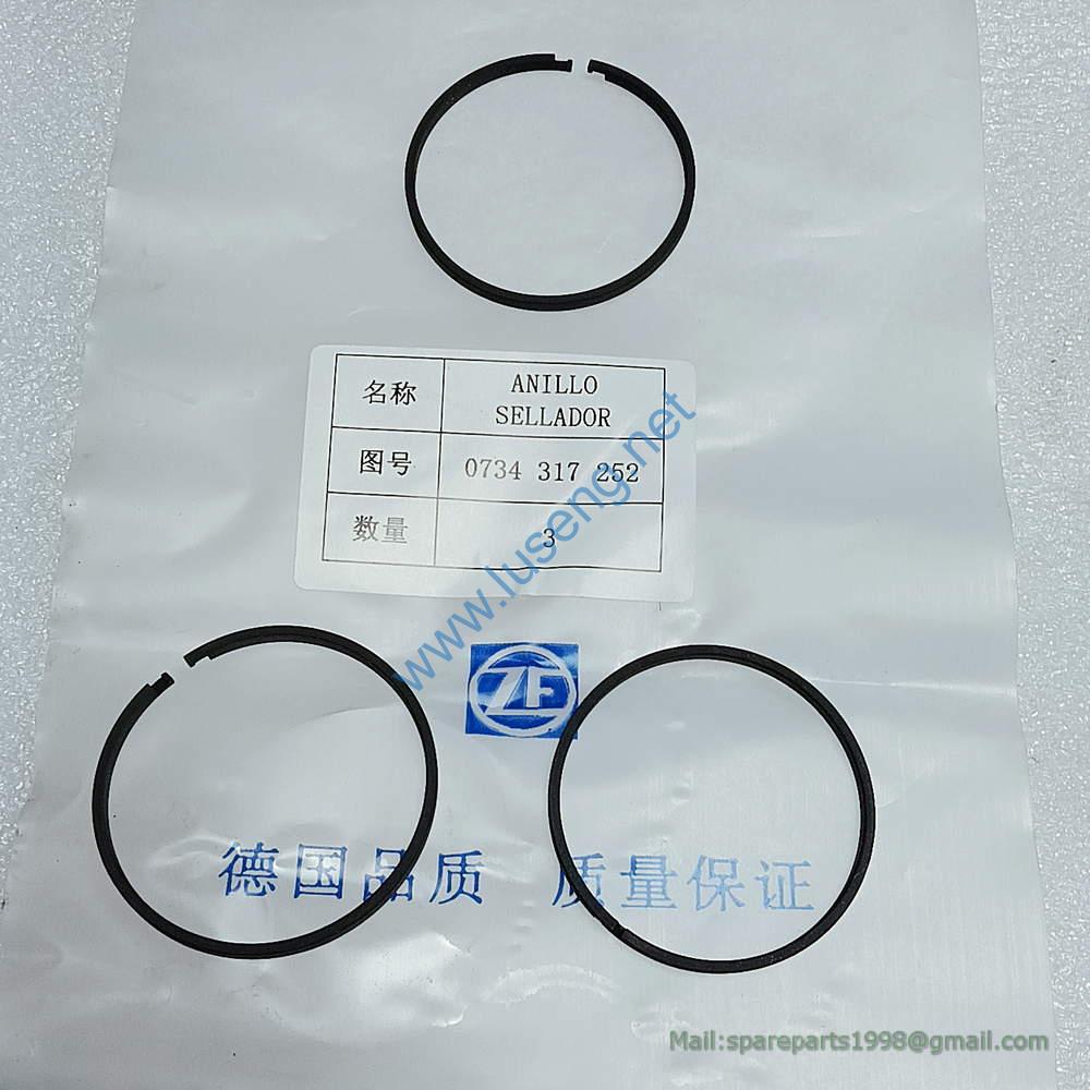 0734317252 PISTON RING SP100220 4110000076256