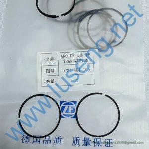 0734401106 PISTON RING SP100224 4110000076258 4110000076050