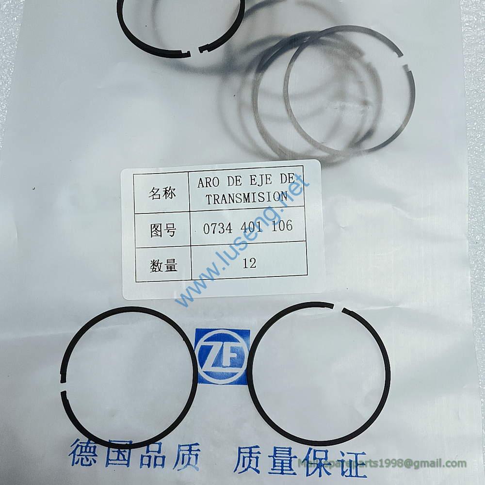 0734401106 PISTON RING SP100224 4110000076258 4110000076050