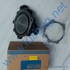 1000054019 water pump weichai