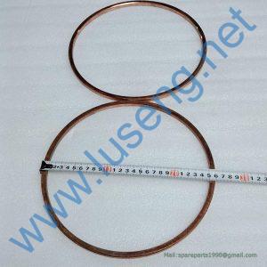 1000440517 SEAL RING WEICHAI