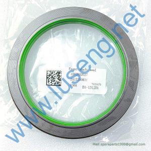 1002052027 4110702892003 front Oil seal LGMG