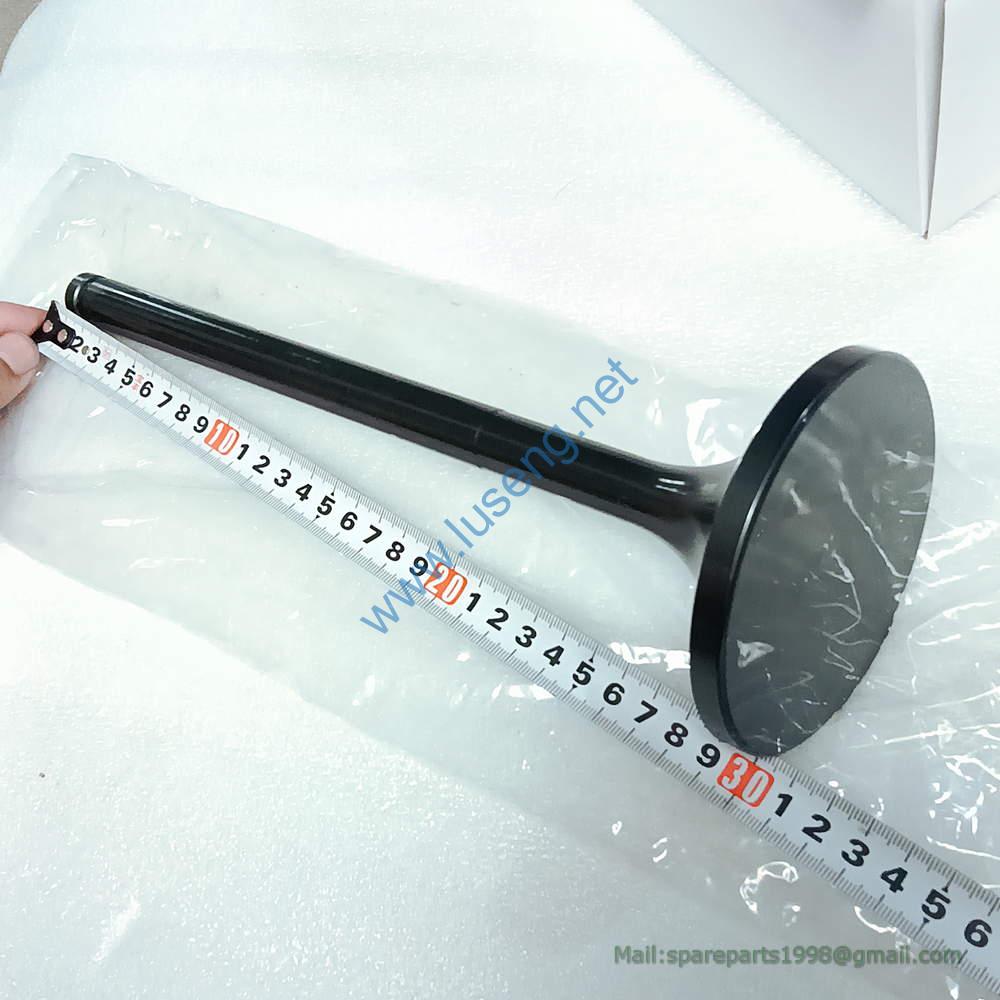 1002577821 VALVE WEICHAI