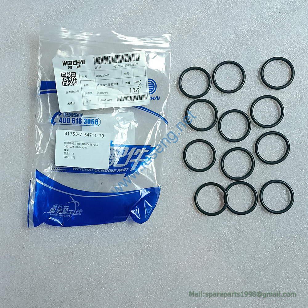 1004257065 seal for injector weichai
