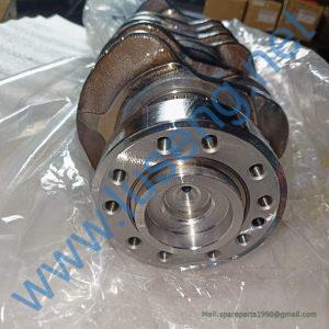 100502065DP CRANKSHAFT SDLG