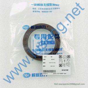 1005050-001-0000 FRONT OIL SEAL WX6113ZG