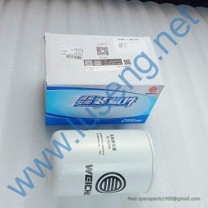 1006413132 FILTER WEICHAI