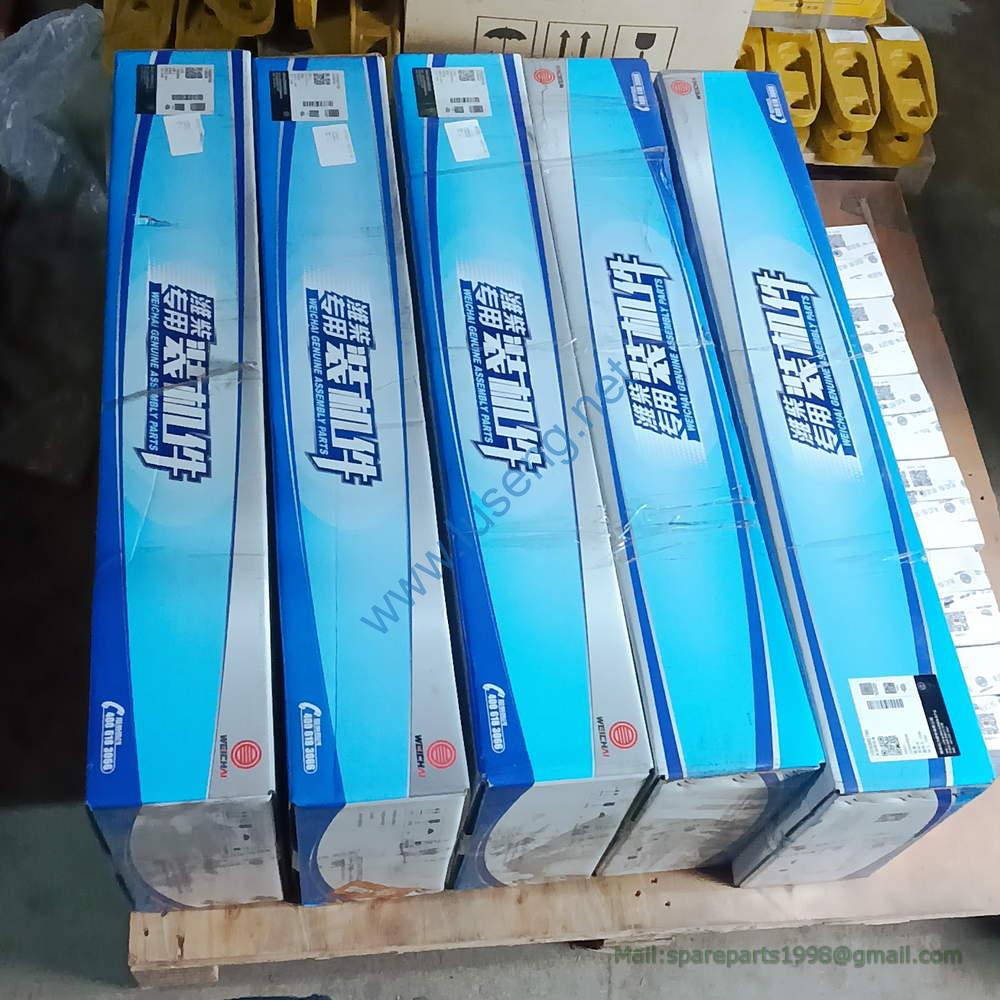 1006889780 harness weichai