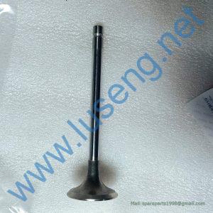 1007016A013-0000 INTAKE VALVE WX6113ZG