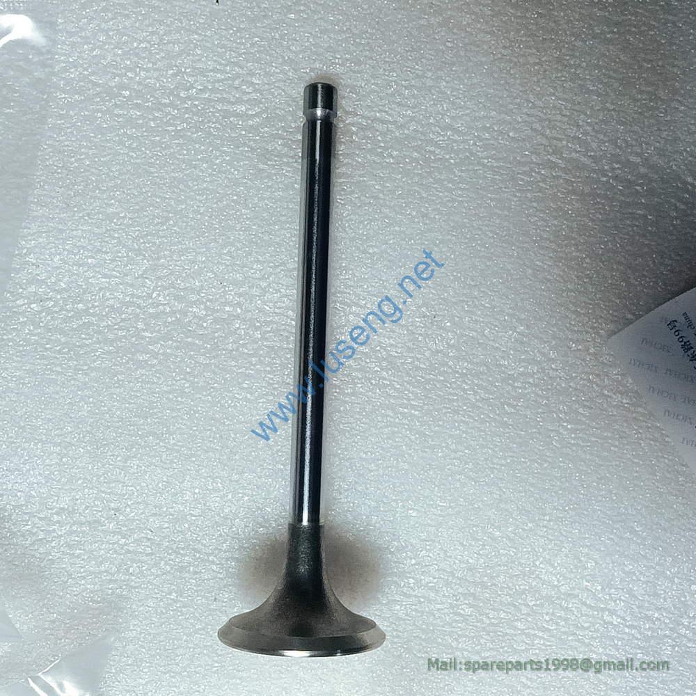 1007016A013-0000 INTAKE VALVE WX6113ZG