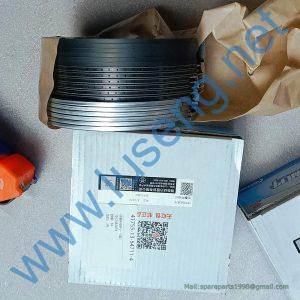 1012082879 piston ring weichai
