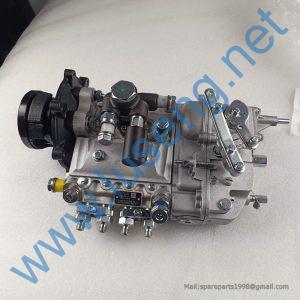 1111010AA09-NY10 4A163A INJECTION PUMP BHF4PW110002