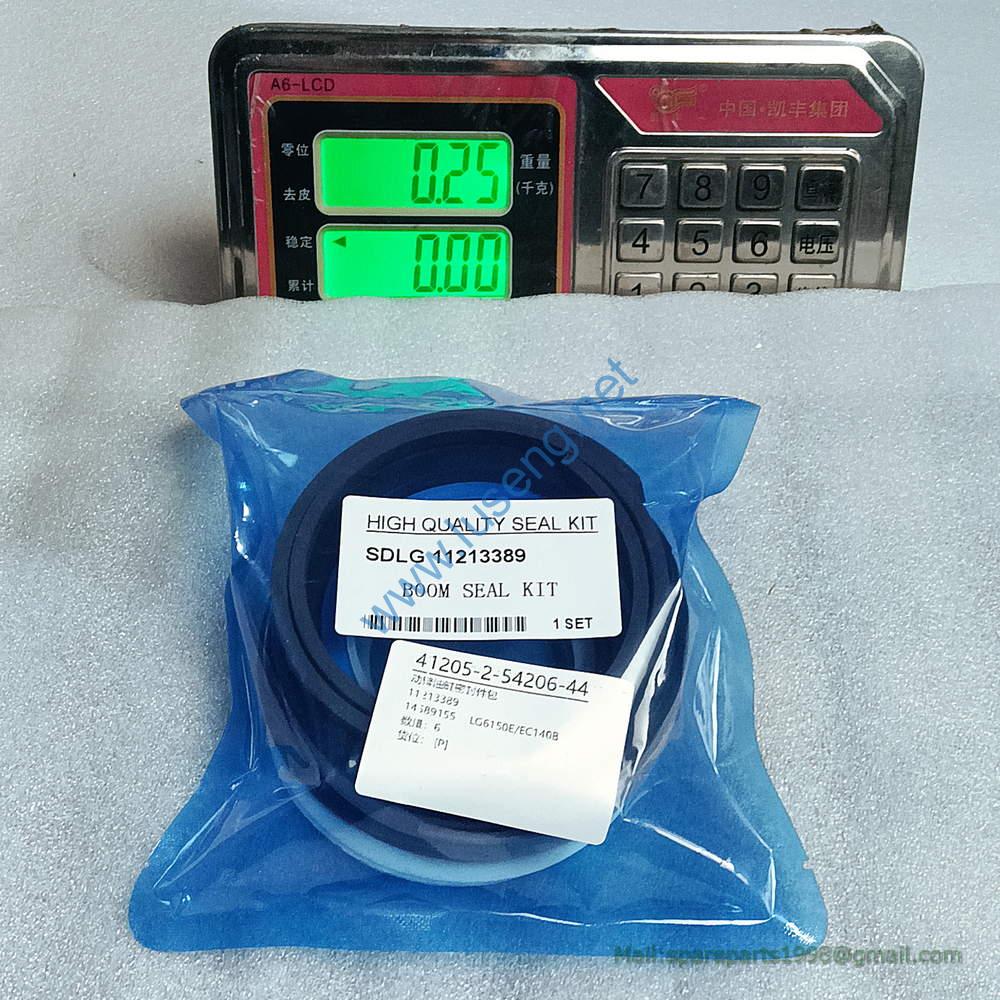 11213389 14589155 Sealing Kit SDLG PARTS