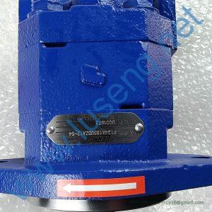 11C0605 PUMP LIUGONG