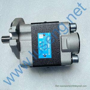 11C0925 CBHZG-F32-ALL GEAR PUMP