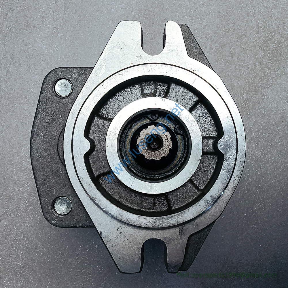 11C0925 CBHZG-F32-ALL GEAR PUMP - Image 2