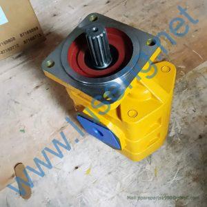 11C1917 LIUGONG CBGJ2063A GEAR PUMP