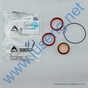 2022000701001 SEAL KITS SDLG