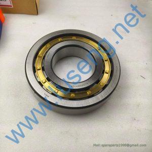 22V0010 BEARING