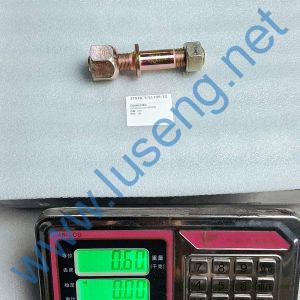250300312 250300396 RIM BOLT