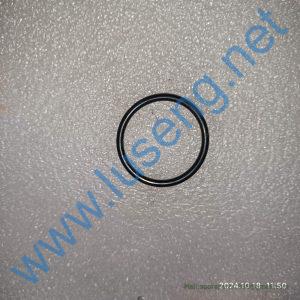 272101770 RING XCMG