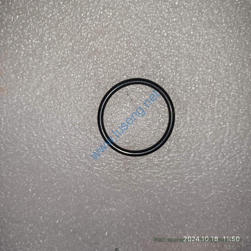 272101770 RING XCMG