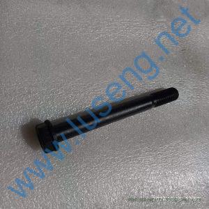 275100160 Screw XCMG