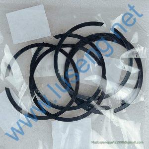29050013831 Retaining ring SDLG