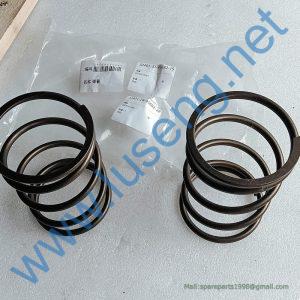 29050013981 SPRING SDLG