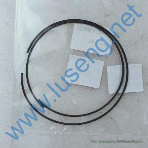 29050014001 PISTON RING SDLG