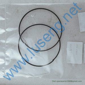 29050014561 PISTON RING SDLG