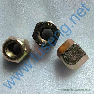 2907000008 NUT SDLG
