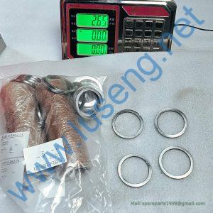 29070012701 DUST RING SDLG