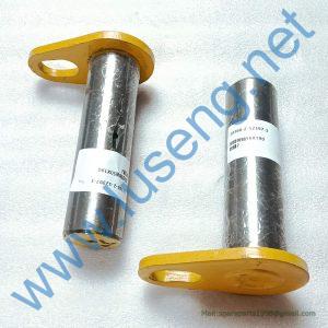 29270010011 PIN SDLG