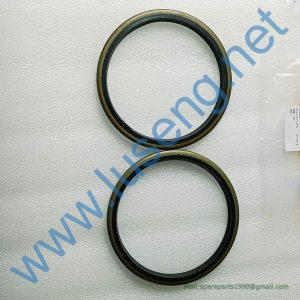 35C0047 SEAL LIUGONG CLG856