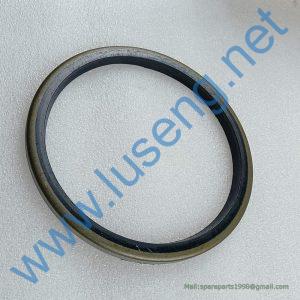 35C0047 SEALING RING LIUGONG