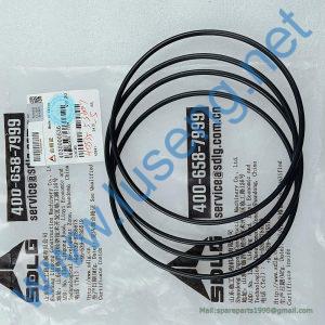 4030000536 O-RING SDLG