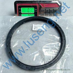 4030001105 HW4102200-03-100 OIL SEAL SDLG