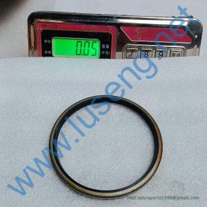 4043000058 DUST RING SDLG