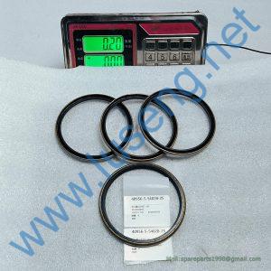 4043000095 SEAL RING SDLG