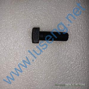 4043000337 SCREW SDLG