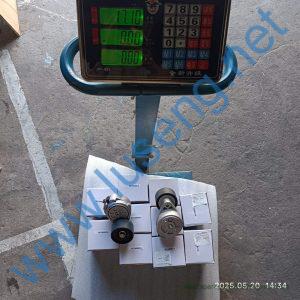 4110000001352 612600061755 PULLEY LGMG