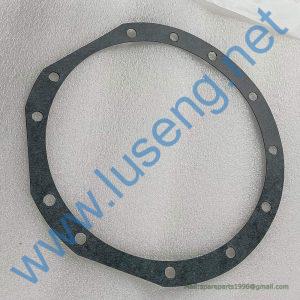 4110000076382 RUBBER RING SDLG